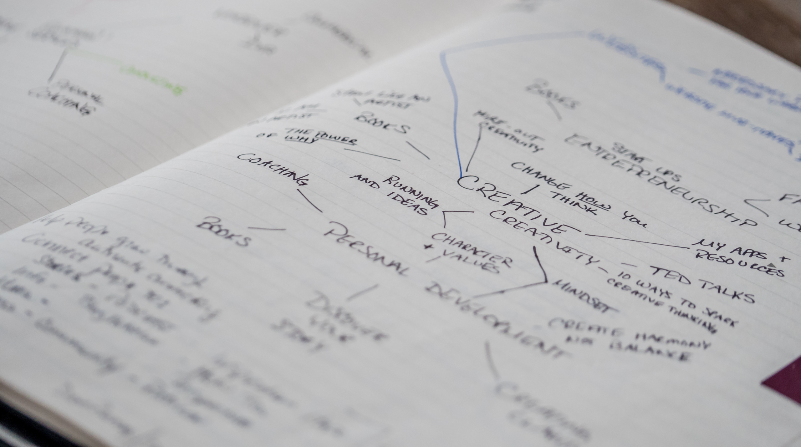 Estudiar con esquemas: beneficios y riesgos para el aprendizaje