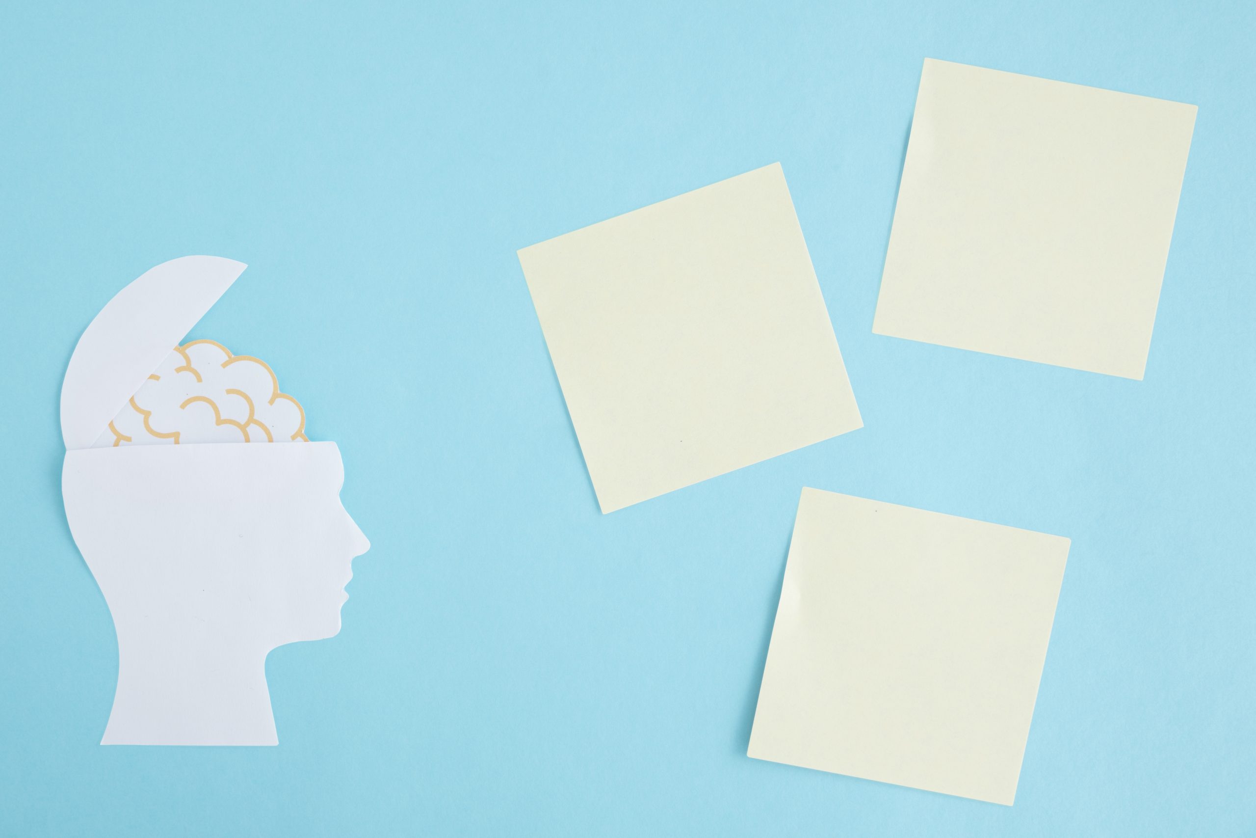 Memorizar vs comprender: dos piezas clave en el proceso de estudio