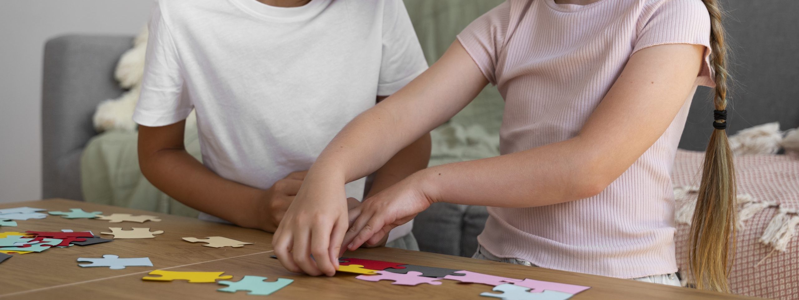 Juegos sencillos para trabajar funciones ejecutivas desde PT y AL